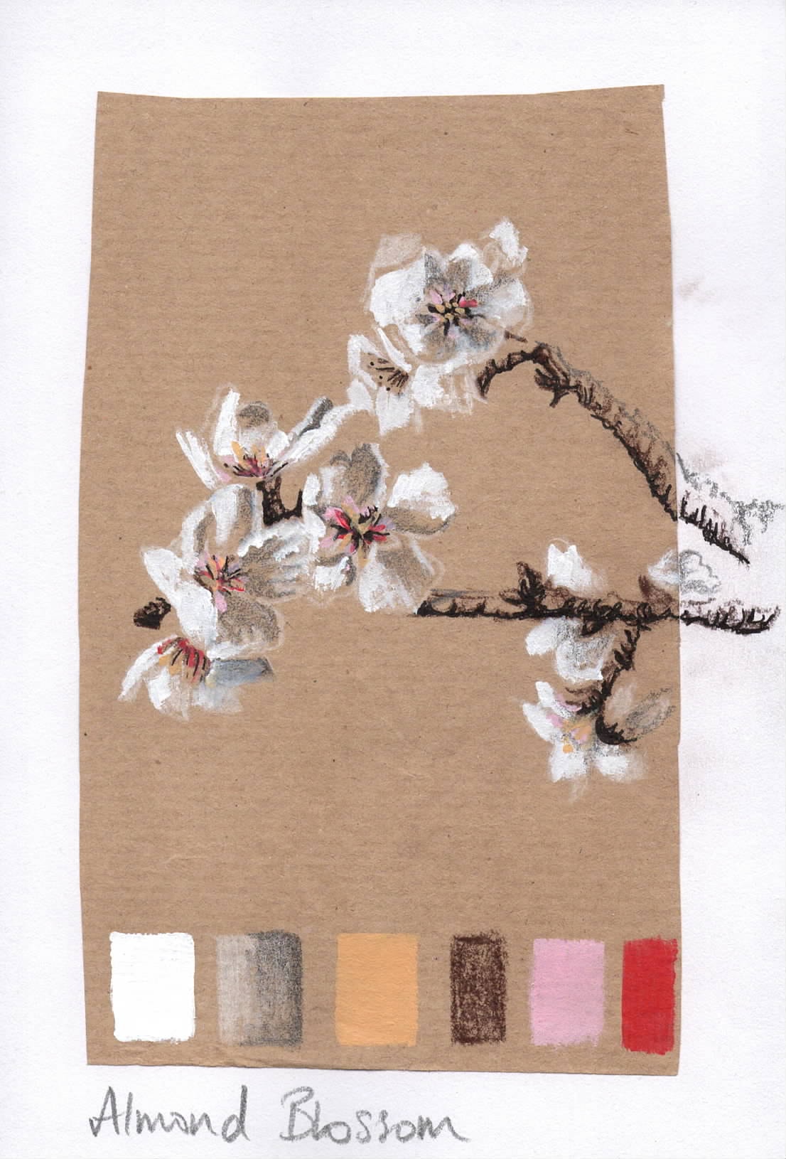 Almond Blossom