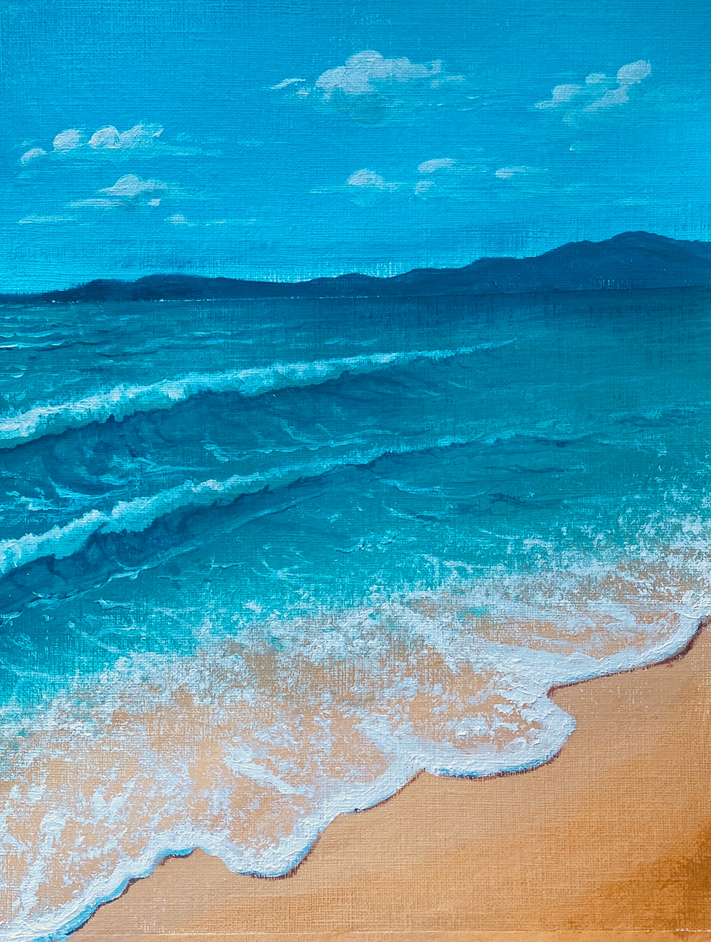 Shoreline Study